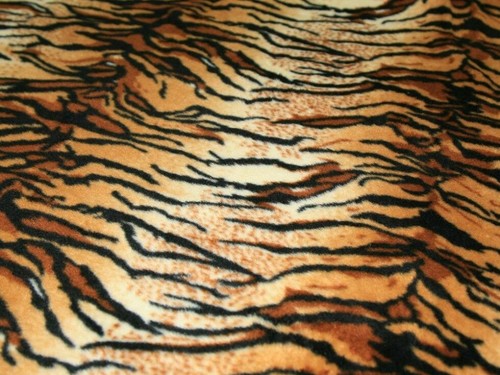 Warm tiger print - warm, anti