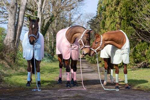 Rhinegold sorbet fleece rug - sorbet,